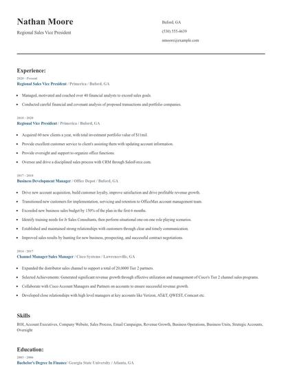 Regional Sales Vice President Resume