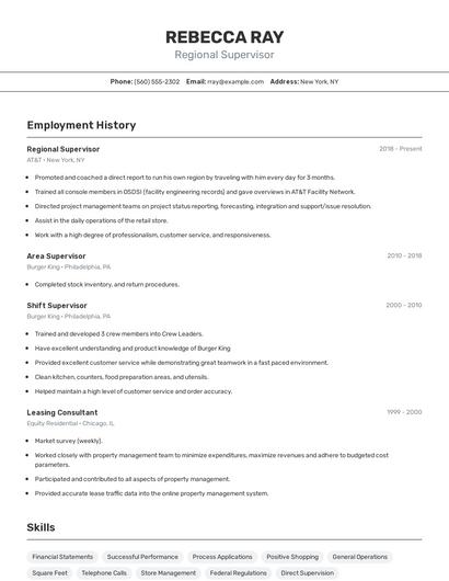 Resume example 2
