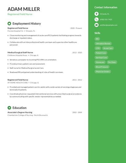 Resume example 4