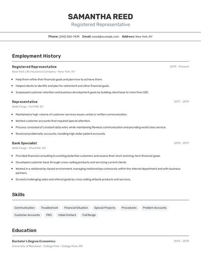 Resume example 2