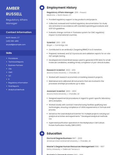 Resume example 4