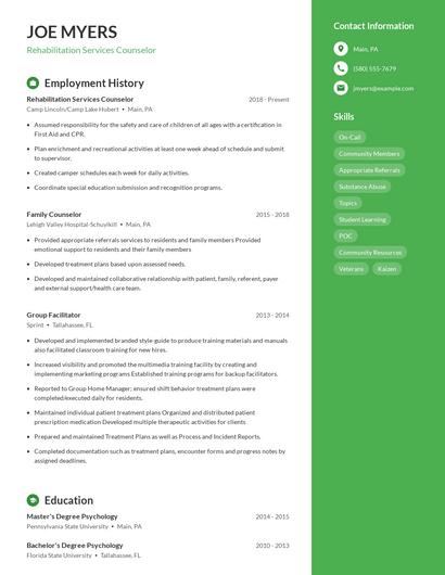 Rehabilitation Services Counselor Resume