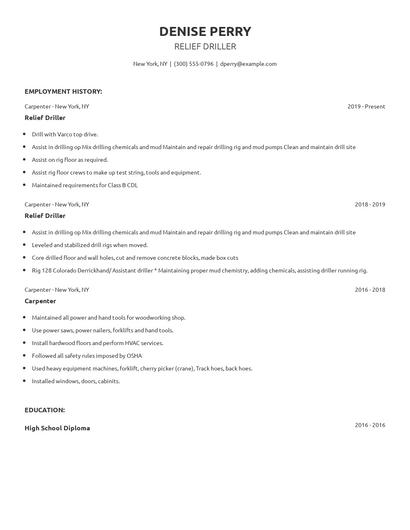 Relief Driller Resume