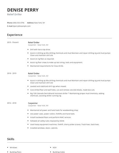 Relief Driller Resume