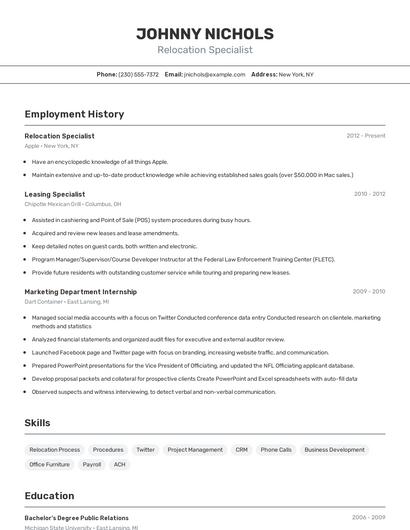 Resume example 2