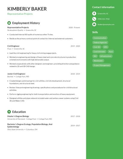 Representative Projects Resume