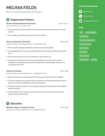 Resume example 4
