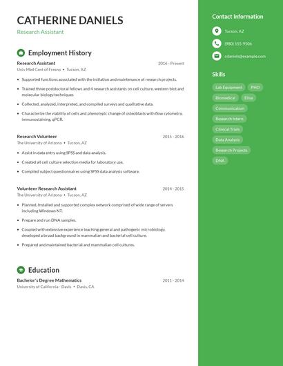 Resume example 5