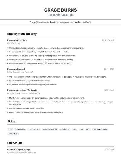 Resume example 2