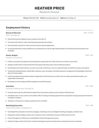 Resume example 2