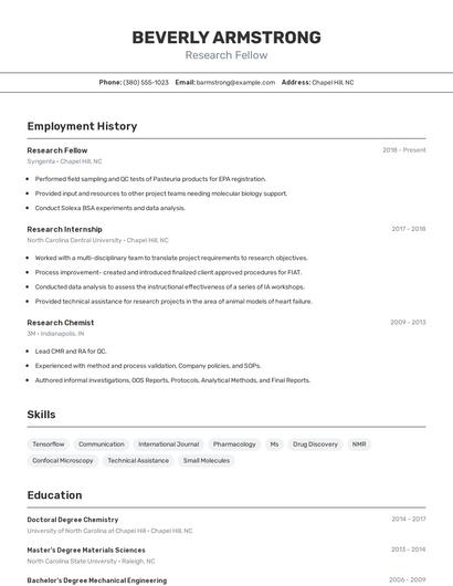 Resume example 2
