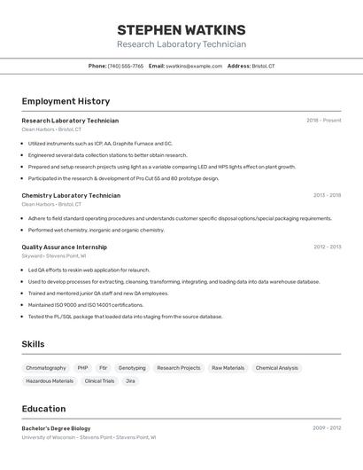 Resume example 2