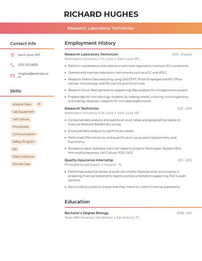 Resume example 3