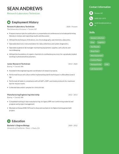 Resume example 4