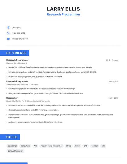 Research Programmer Resume