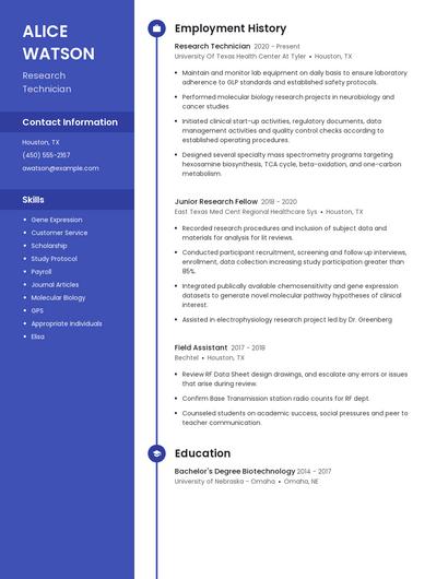 Resume example 4