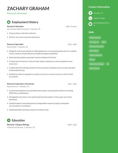 Resume example 5