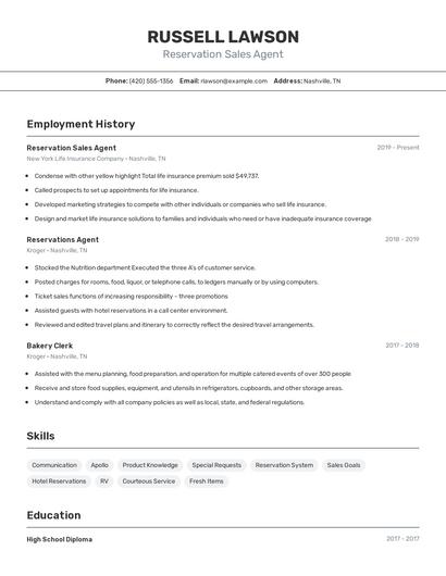 Reservation Sales Agent Resume