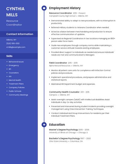 Resume example 4