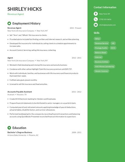 Revenue Agent Resume