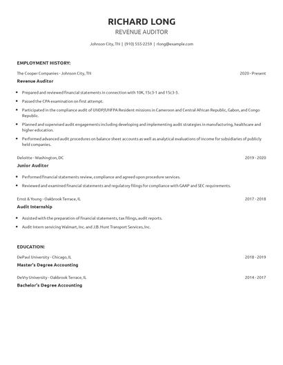 Revenue Auditor Resume