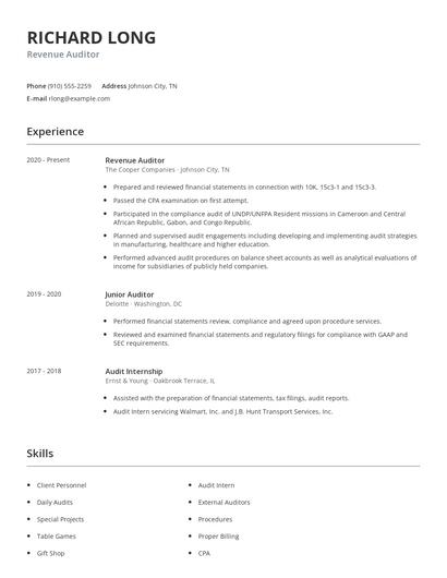 Revenue Auditor Resume