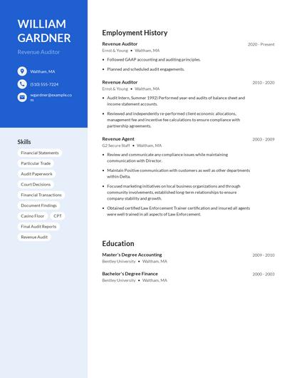 Revenue Auditor Resume