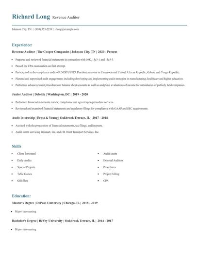 Revenue Auditor Resume