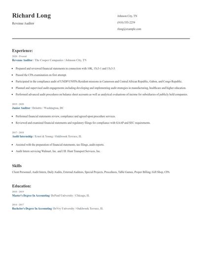 Revenue Auditor Resume