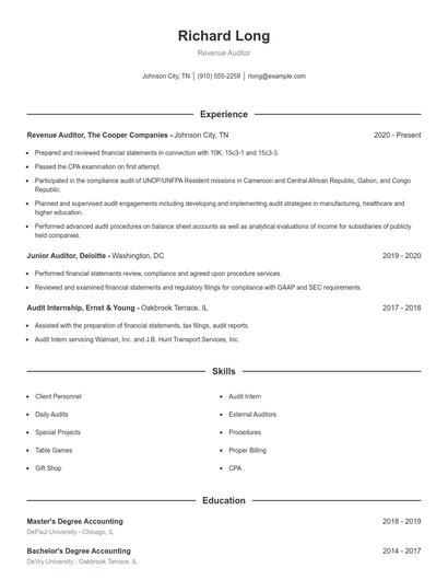 Revenue Auditor Resume