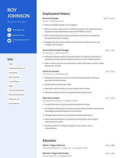Revenue Manager Resume