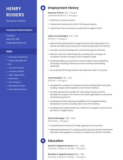 Revenue Officer Resume