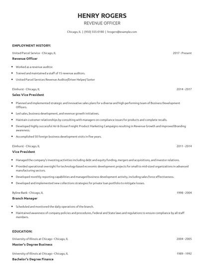 Revenue Officer Resume