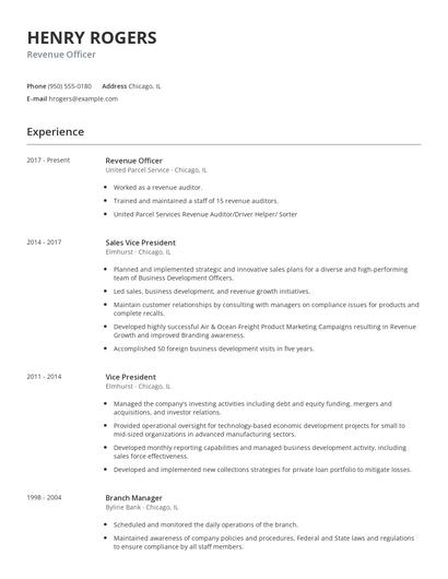Revenue Officer Resume