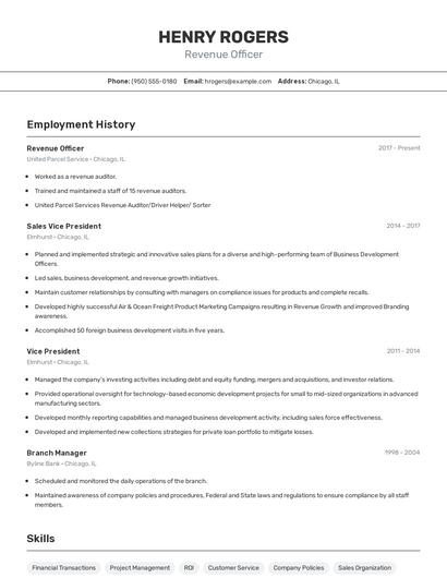 Revenue Officer Resume