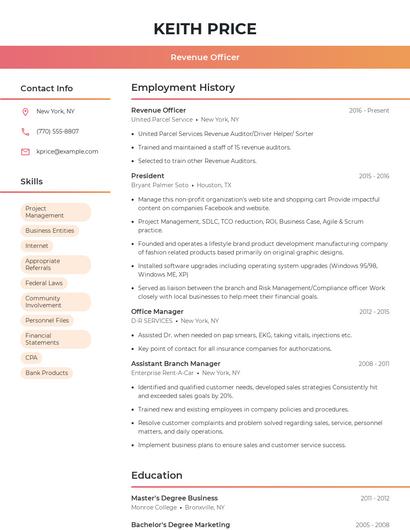 Revenue Officer Resume
