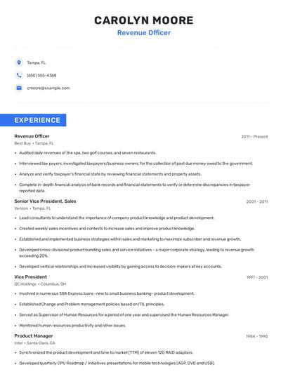 Revenue Officer Resume