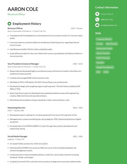 Revenue Officer Resume