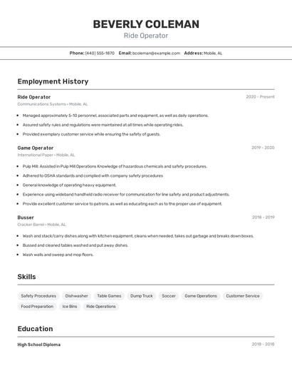 Resume example 2