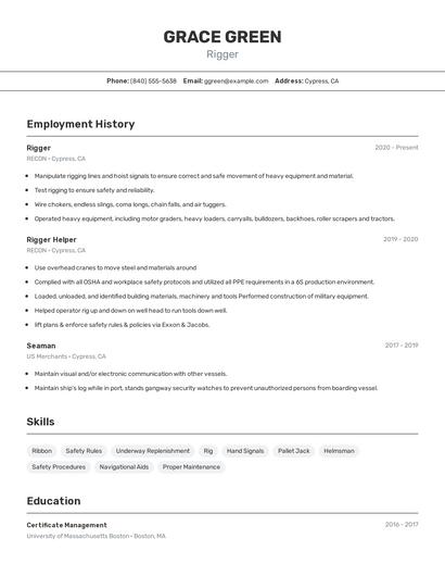 Resume example 2
