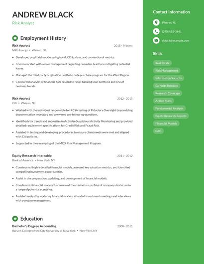 Resume example 4