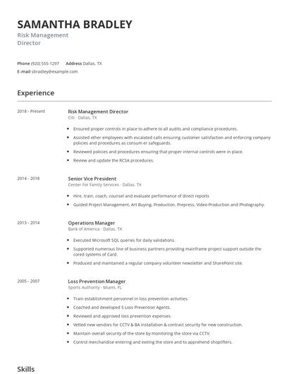 Risk Management Director Resume