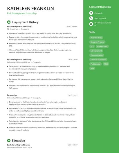 Resume example 5
