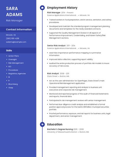 Risk Manager Resume