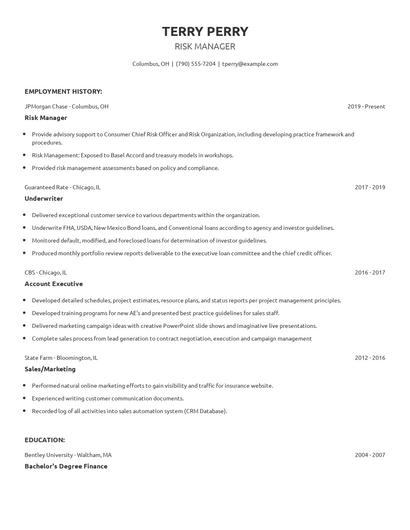 Risk Manager Resume