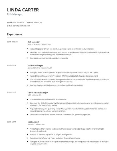 Risk Manager Resume