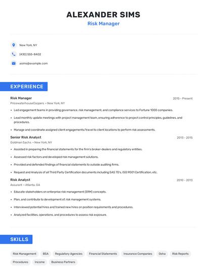 Risk Manager Resume