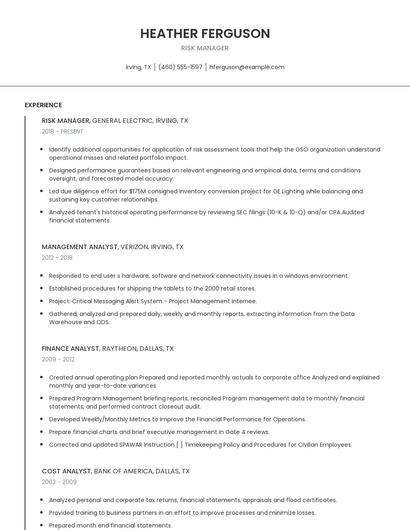 Risk Manager Resume