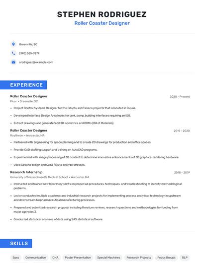 Roller Coaster Designer Resume