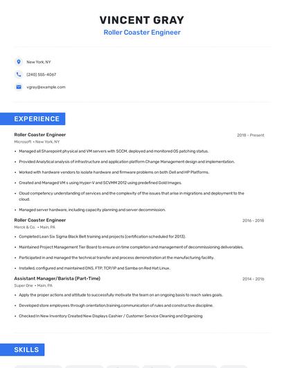 Roller Coaster Engineer Resume